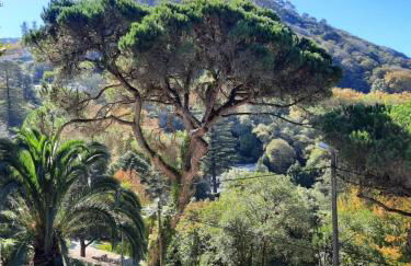 Luxurious royal estate in historic Sintra paradise - Foto 8