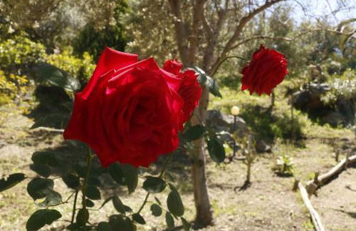 Villa Canale - Foto 56