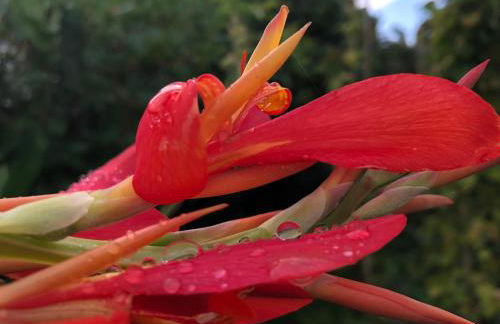 Quinta da Pavoa - Cottage House - Photo 66