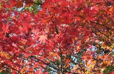 Um quarto da Casa Do Monte - Photo 44