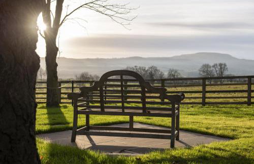 The Horse Box - Foto 32