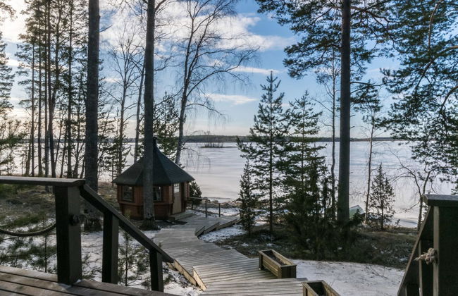 Puolen hehtaarin metsä - Foto 22