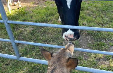 The Beehive at Pudding Cottage - Foto 37