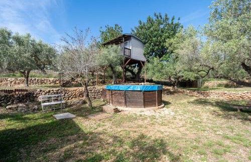 Casa Arbol - Foto 11