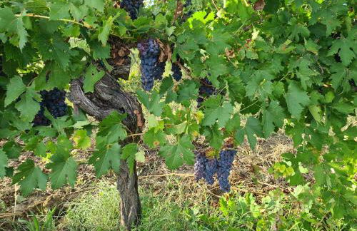 Casa Colonica - Foto 46