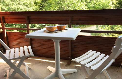 Studio cabine au pied des pistes, balcon sud - FR-1-515-67 - Foto 7