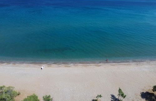 KYNTHIA seaview apartments samos - Foto 4