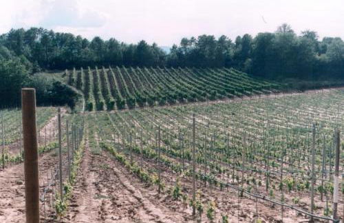 Agriturismo Campo del Monte - Photo 18