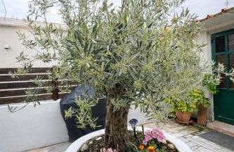 Yanna's Apartments - Foto 30