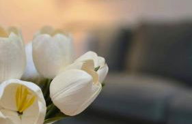 Casa do Castelo Terena - Foto 8