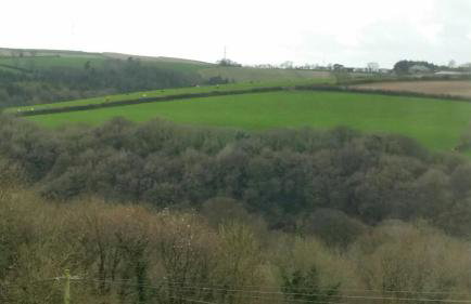 Pencubitt House - Photo 26