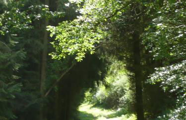 Ferienwohnungen Meindl - Foto 29