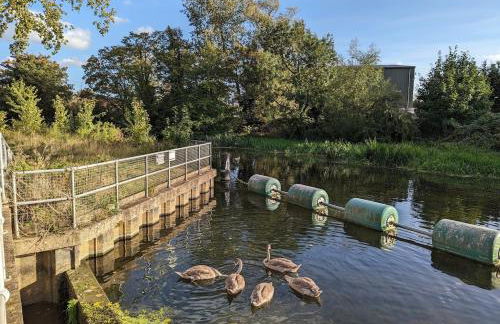 Billing Aquadrome, Horizon 3 Bedrooms, BLP 17A - Photo 28