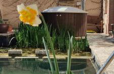 Viento de Ladera Casa Rural con piscina cubierta - Foto 25