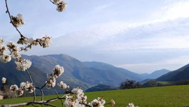 casa vacanze campagna in compagnia - Foto 4