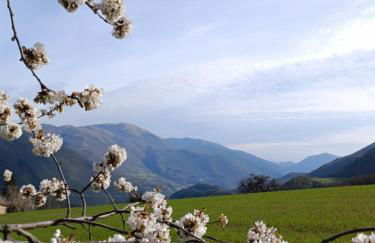 casa vacanze campagna in compagnia - Photo 4