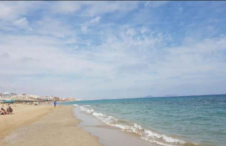 My Beach Haven - Photo 9