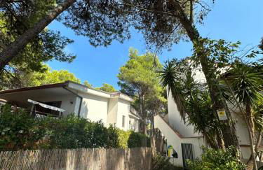 La Conchiglia - Foto 1