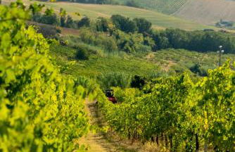 Boutique Hotel Villa Monty Banks - Foto 27