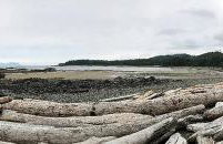 Charming A-Frame Cabin Rental on Prince of Wales Island in Hollis, Alaska - Foto 8