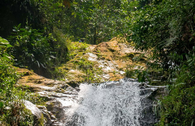 Tour privado por Envigado - Foto 3