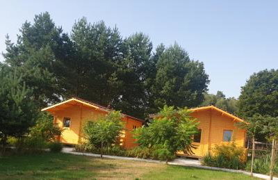 Serce Puszczy Wiartel - Foto 2