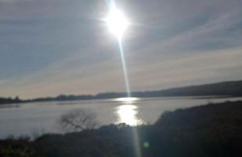 Butterflies Rest - Foto 61