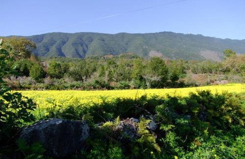 Villas Las Cercas - Photo 67