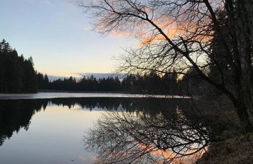 Waldhaus Hahnenklee - Foto 48