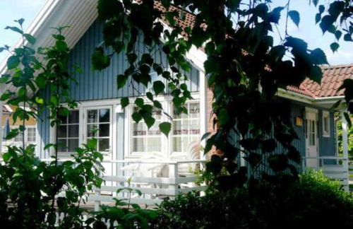 Moorfrosch - Photo 2