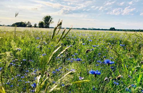 Ferienwohnung Spreewaeldchen - Foto 44