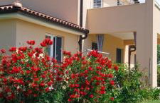 Vila Dubravka - schön und komfortabel inmitten von Olivenbäumen und Weinbergen mit Whirlpool - Foto 9