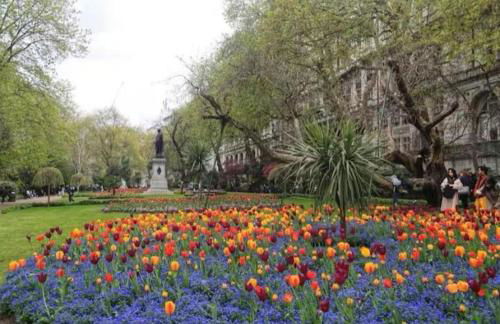 Charming 2 Bedroom Flat in the Heart of London, 2 mins to Trafalgar Square! - Foto 22