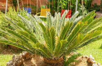 Anna's Sea House near to a sandy beach! - Foto 50