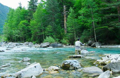 Apartamentos Casa Español - Foto 7