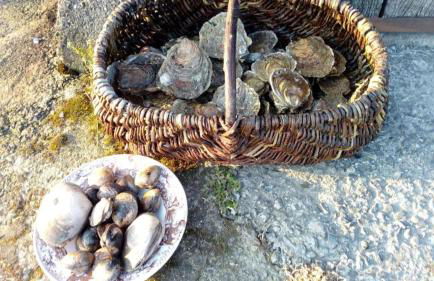 Chez Emile - Foto 51