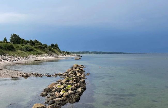 6 Person Holiday Home in Brenderup Fyn - Photo 50