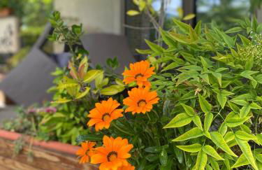 Villa Giulia - Marguareis - Foto 45