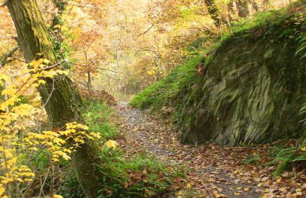 Ferienhaus Stahlberg - Photo 27