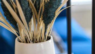 Spacious family home with playroom - Foto 5