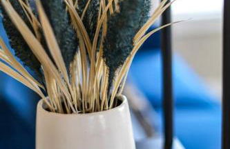 Spacious family home with playroom - Foto 5