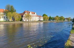 STARE MIASTO KWIATY - Foto 18