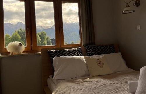 Willa Chrycówka - Jacuzzi, Basen, Sauna - Foto 34