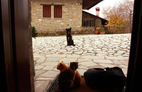 Τα Πέτρινα της Ελάτης - Petrina Elatis - Foto 59