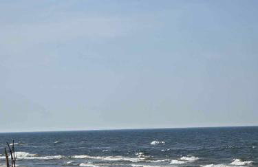 zielono mi - Foto 76