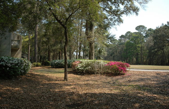 Carolina Club by Spinnaker Resorts - Foto 50