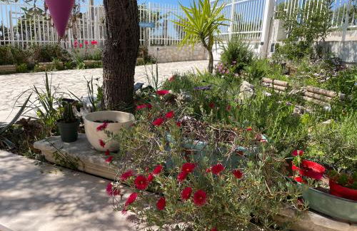 B&B Case Vacanza Orchidea marina di Macchia a Mattinata Gargano - Foto 19