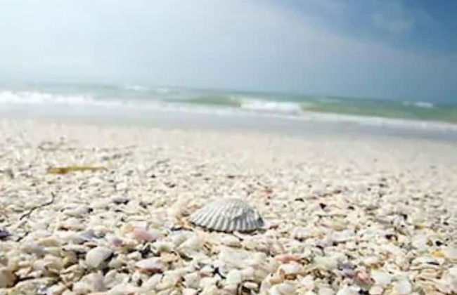 Pelicans Roost Gulf Front Condos - Foto 17