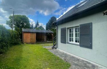 Dzika Foka Wiosłowa 49 - Photo 3