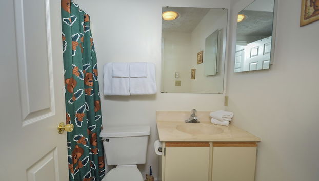 Ski Harbor 45 by Taylor Made Deep Creek - Foto 5, Servicios del alojamiento